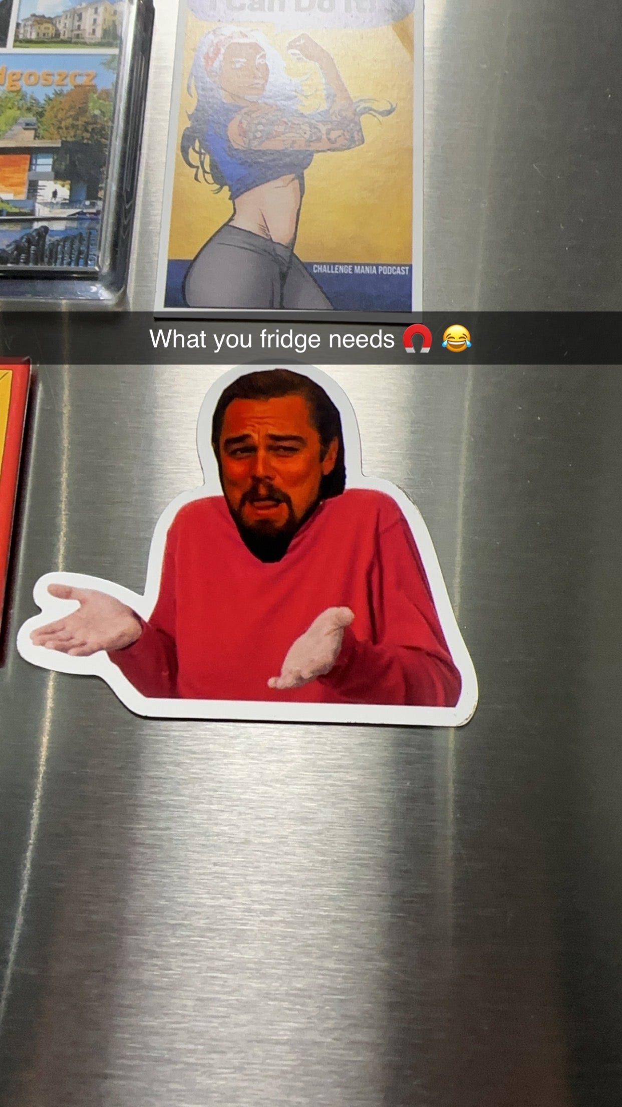 Sarcastic Shrug Magnet | Adult Humor | Leonardo DiCaprio