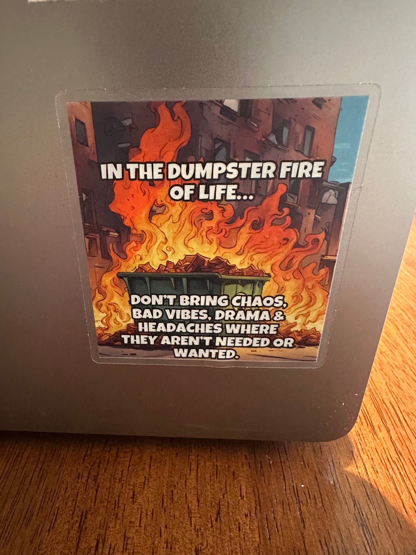 Dumpster Fire of Life Vinyl Sticker| Adult Humor