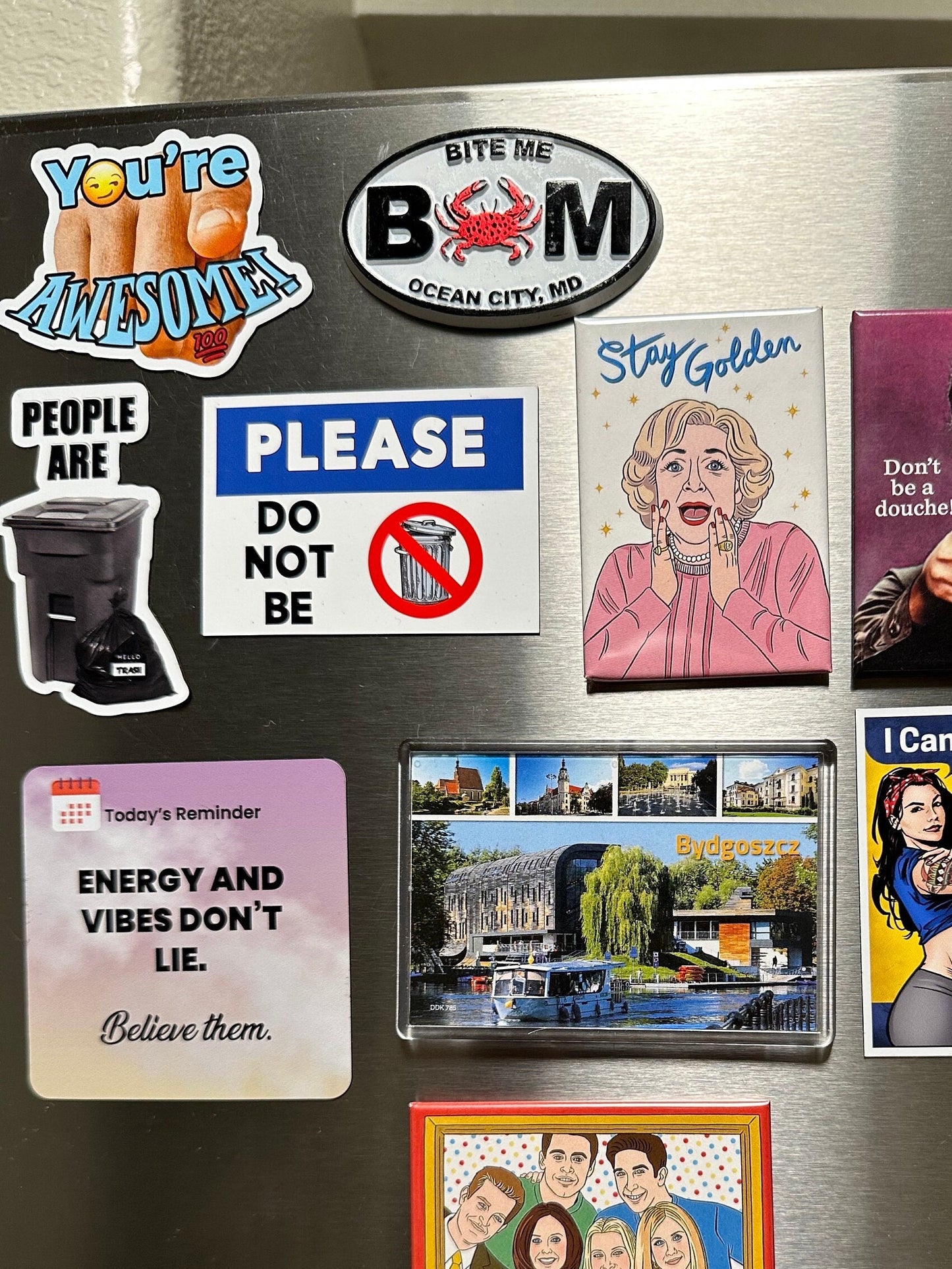 Vibes Don’t Lie Magnet Refrigerator Locker