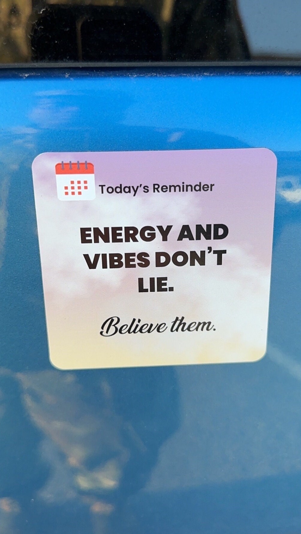 Vibes Don’t Lie Magnet Refrigerator Locker